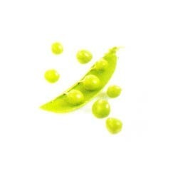 Manufacturers Exporters and Wholesale Suppliers of Fresh Green Peas Amritsar Punjab